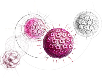 Papiloma Vírus Humano ( HPV ) - Especialidade: Ginecologia